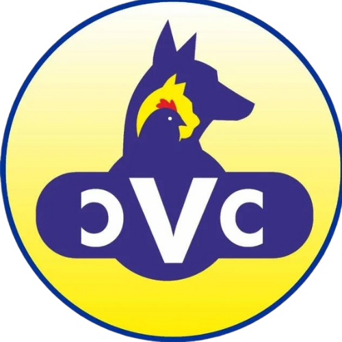 CVC Logo